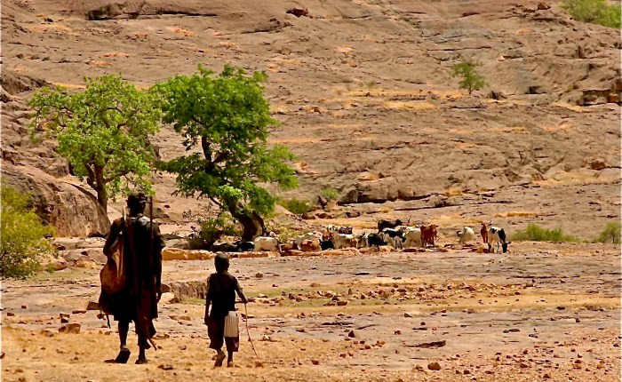 Radical Stewardship: Leading by Faith &&nbsp;Works